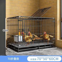 鸡笼子家用特大号室内养鸡笼自动清粪室外鸭笼子鸽子鸡舍笼子鸡窝