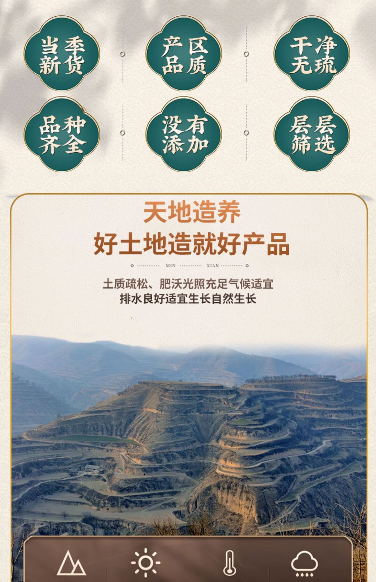 Dried Whole Scorpion Quan Xie 全蝎 Whole Body TCM Herb Unsalted Fully Dried Can Be Ground to Powder key features