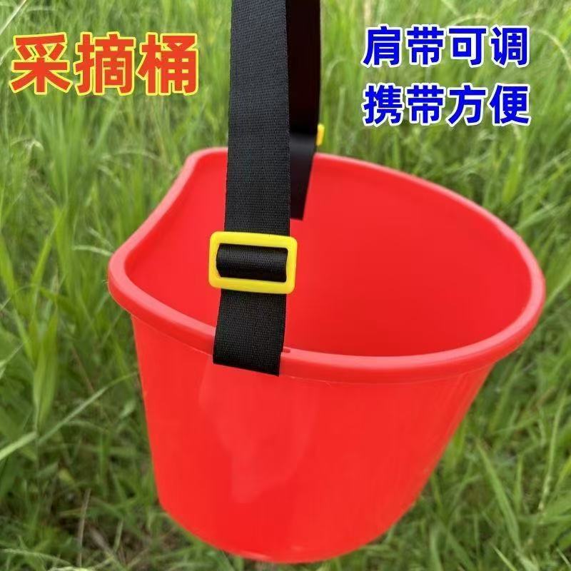 1be276228ceba157c8f84d9be9d160