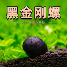 �ڽ����ݳ������^�p���坍�����ݲʵ����O���ݟᎧ�ݸך����ݳ���