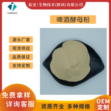 ơƽĸ99% İ ơƻȡ ơƻĸ ֻ