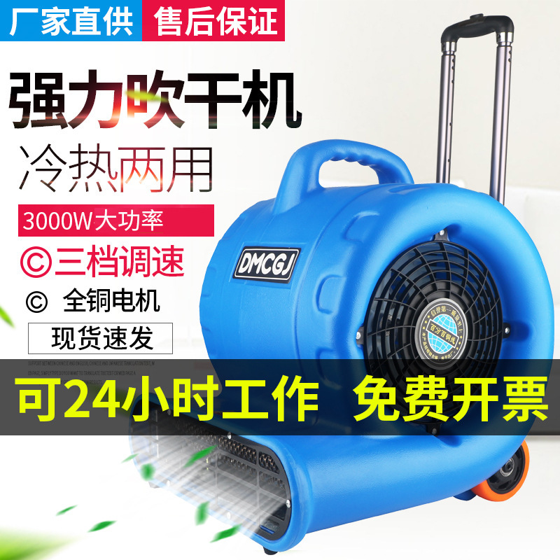 Blower Dryer Hotel Commercial High-Power Drying Hot and Cold Hair Dryer Carpet Toilet Floor Dehumidification Floor Blower Blower Dryer Hotel Commercial High-Power Drying Hot and Cold Hair Dryer Carpet Toilet Floor Dehumidification Floor Blower