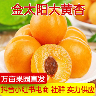�a��ֱ�l������S�Ӯ������r�����̫����ЋDˮ���Ǽt��һ�����l
