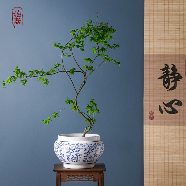 Blue and white ceramic flowerpot for home use for living room