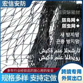 HDPE防鸟网加粗抗UV尼龙网防虫网农用种菜大棚种植防鸟网源头工厂