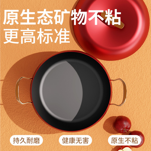 Gift new household apple soup pot health pot insulated double-eared pot large capacity non-stick non-pick stove universal