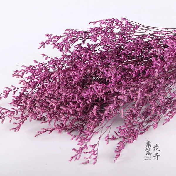 Rose Red [120g/bunch]