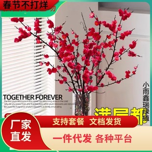 紅梅盆栽圖片- 海量高清紅梅盆栽圖片大全- 阿里巴巴