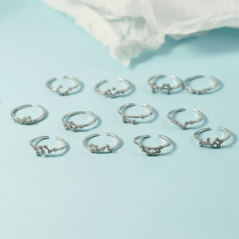 Twelve Zodiac Sign Rings Fashion Personality Minimalist Korean and Japanese Light Luxury Adjustable Open-Ended Diamond-Studded Index Finger Rings for Women Simple