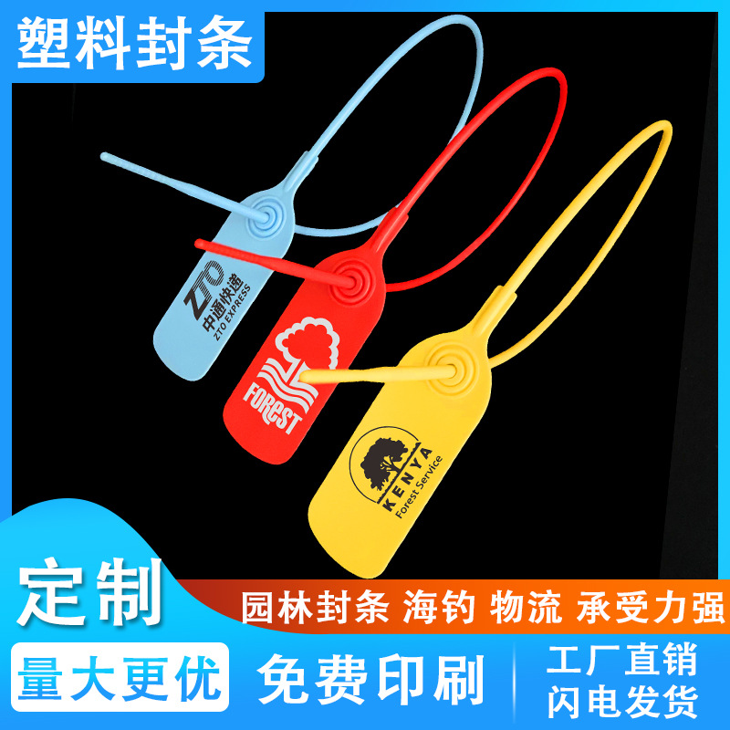 现货一次性塑料封条 物流水泥厂园林扎线 防伪防拆扣标牌标签扎带