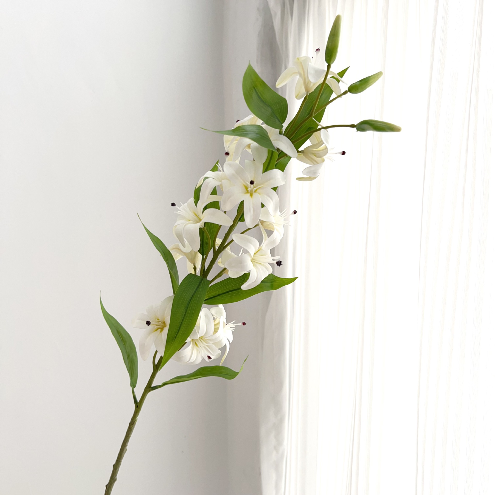 화이트 필 사유리