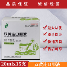 兽药双黄连口服液猪牛羊犬猫鸡鸭鹅兽用感冒发热辛凉解表清热解毒