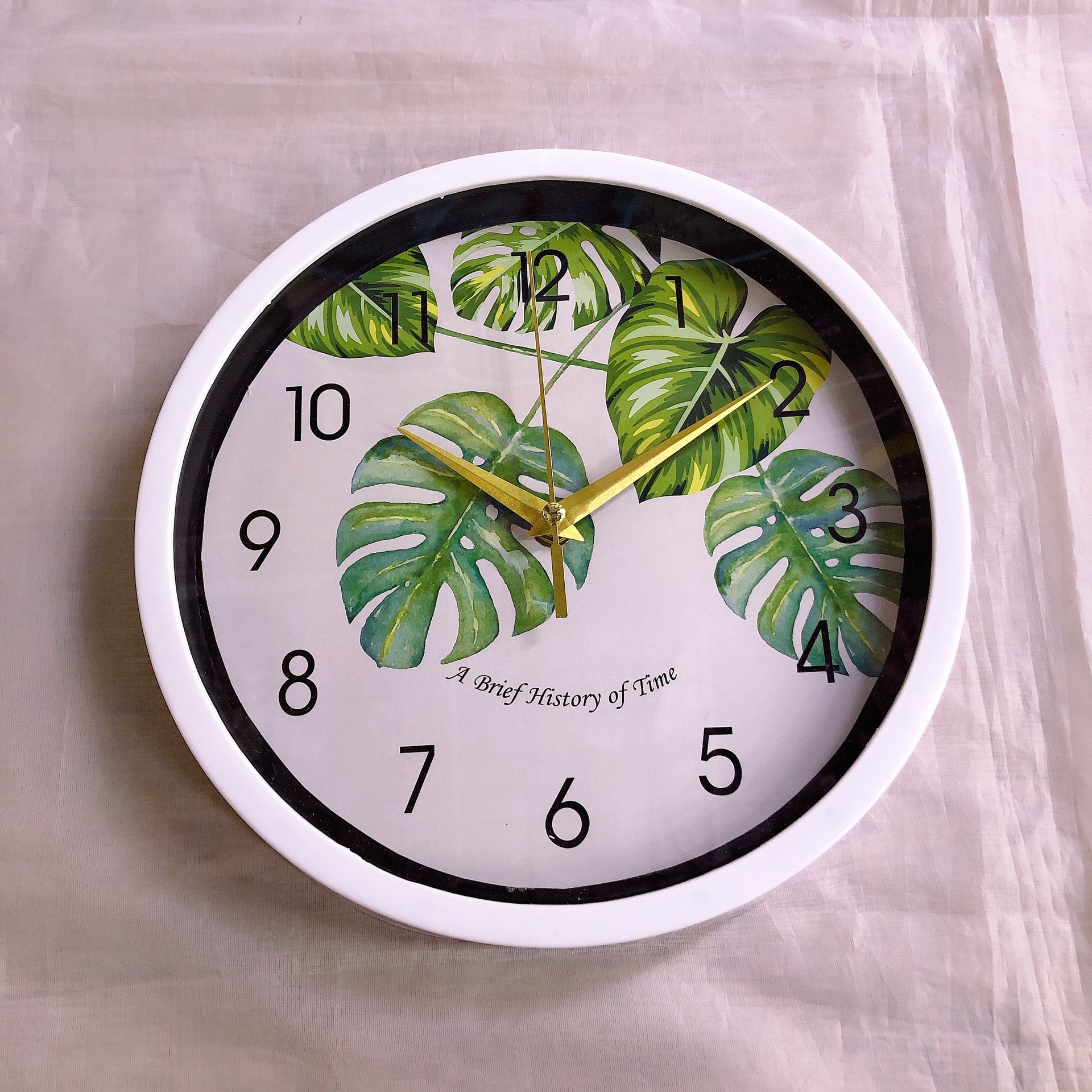 IMG_6646(20210726-132828)