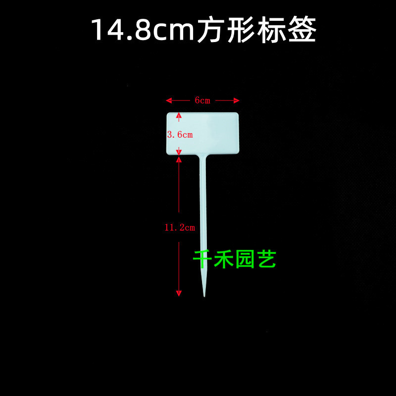 Blue 14.8cm square label