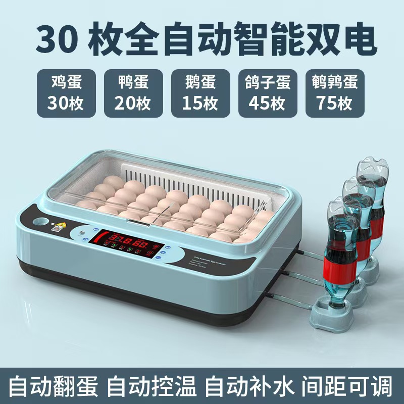 Incubadora de pollo de venta directa Incubadora doméstica pequeña Incubadora doméstica inteligente automática Caja de incubación de pollo
