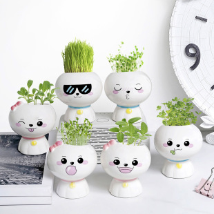 Creative DIY Kidsren's Desktop Green Plants Radiation-Proof Plants Kindergarten Small Potted Night Market Stall Supply Wholesale