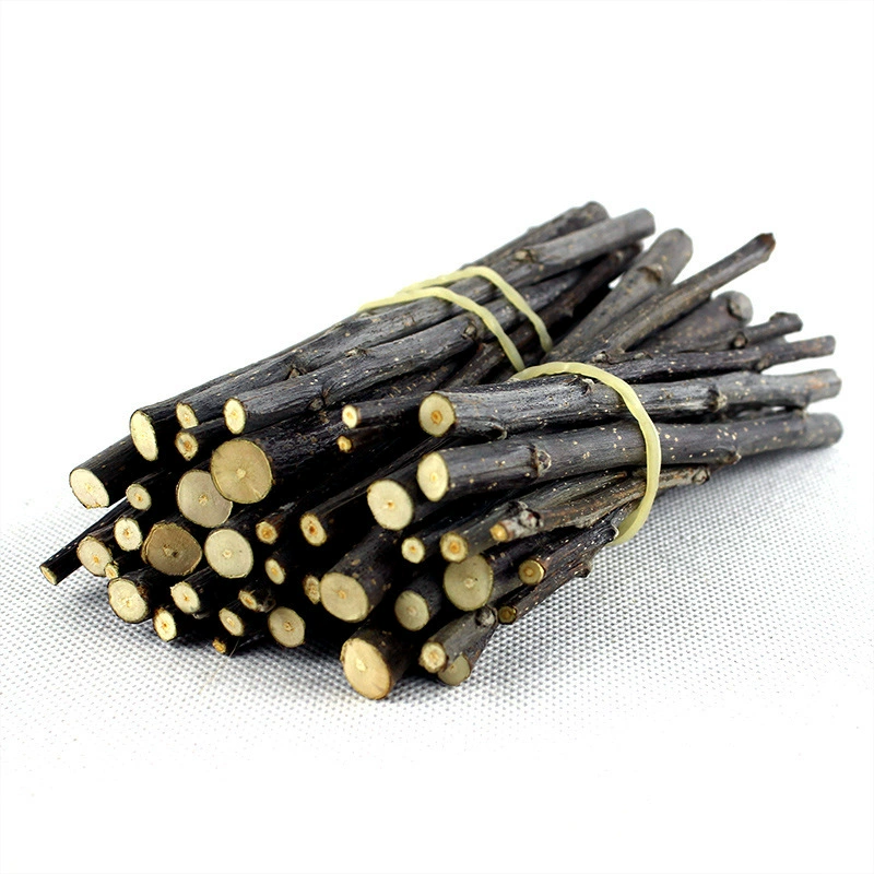 2023 обезвоженные яблоневые палочки хомяк кролик шиншиллы морская свинка моляк закуски зубные палочки яблочная палочка за фунт 500 г