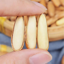 【新货热卖】新货巴西松子原香大颗粒含包装坚果炒货阿富汗松杰宏