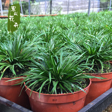 ���d���� �������l���X���� ��� �F��̦ �S�� �З������� ����