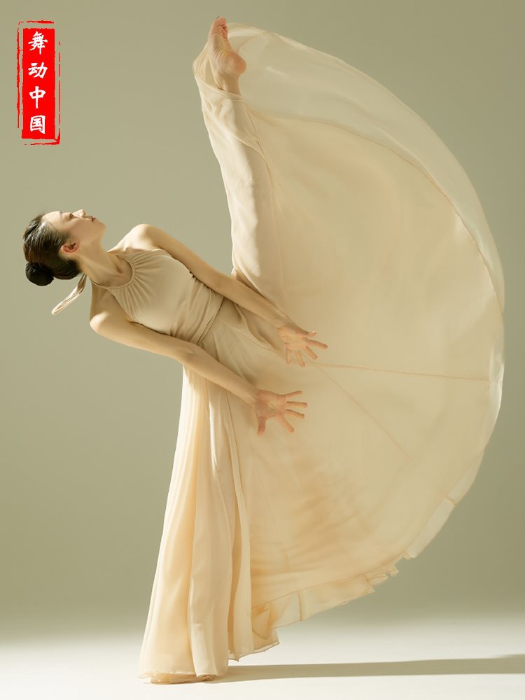 Shiffon long skirt