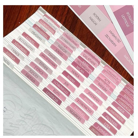 Bible Tabs Etiqueta de índice de la Biblia Morandi Color Transfronterizo Amazon Explosiva Etiqueta de índice de la Biblia Etiqueta engomada image 1