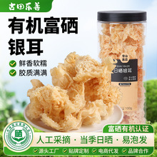 日晒银耳高山生态银耳天然鲜晒即糯白木耳糯耳易出胶无硫100g包邮