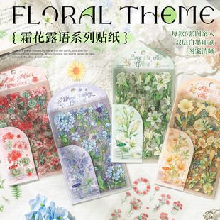˪��¶�Z�N����pet��ˮ���ܻ����N��diy���~�ز��b�ƴ�N����N��