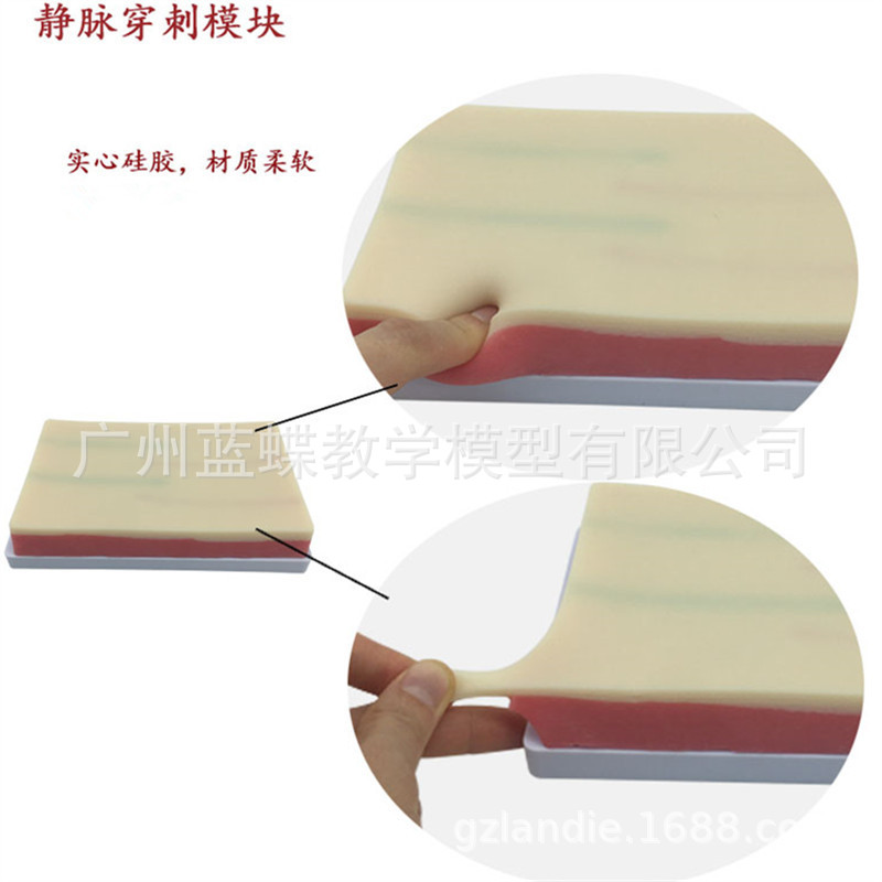 �๦��Ƥ������ע����ϰģ�� Ƥ��Ѫ�ܶ�����Һ ���⴩��ѵ��ģ��