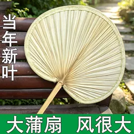 电子宠物;风筝;毛绒玩具