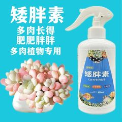 低肥満素は多肉専用の芽分化花卉植物多肉爆芽素共通型栄養液卸売りを適用する