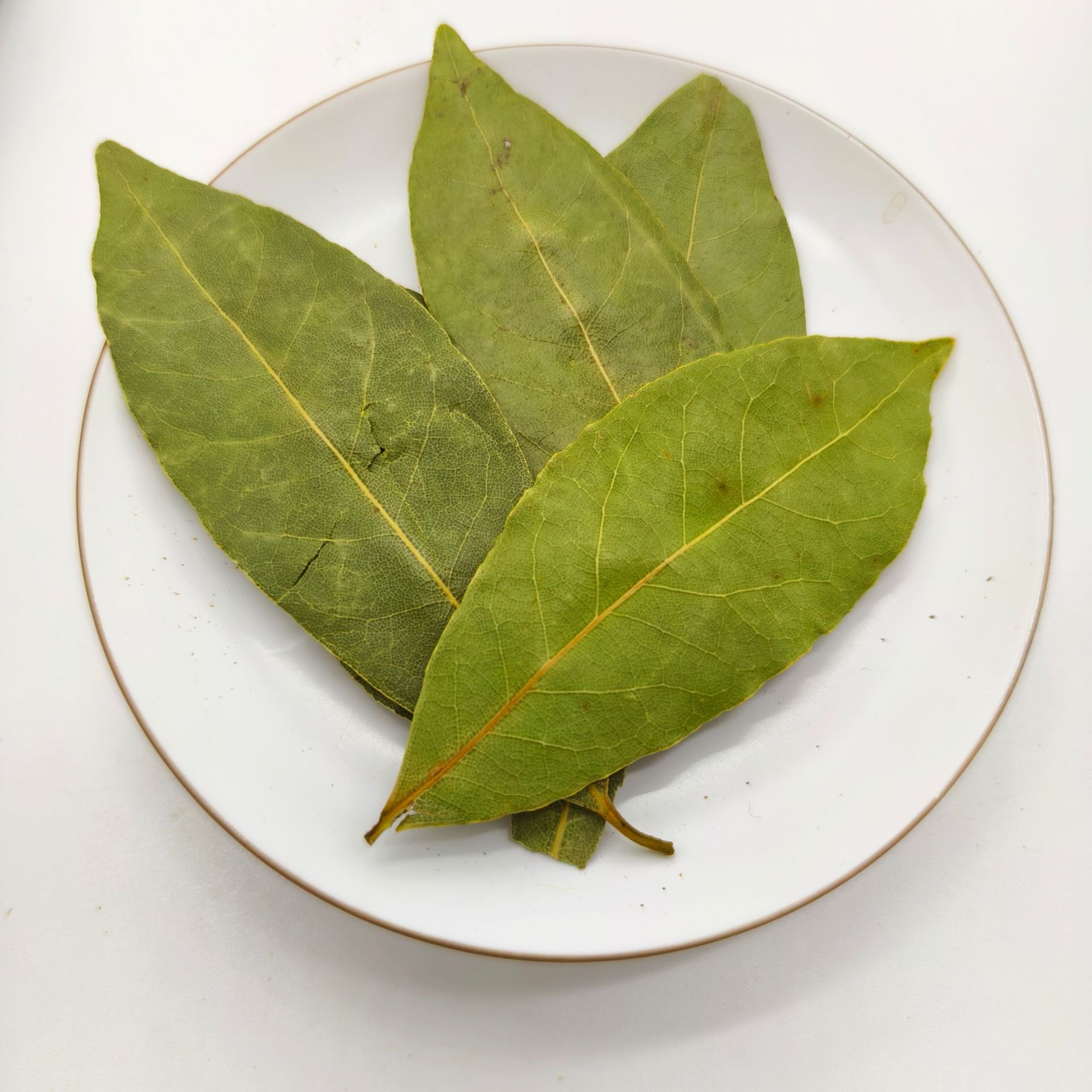 香叶月桂叶批發散装干货香辛料大全批发调料香料餐饮调味料商用-阿里巴巴