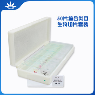 Red Leaf Teana Microscope Matching Slide Biological Specimen Slices 50 Comprehensive Category Set