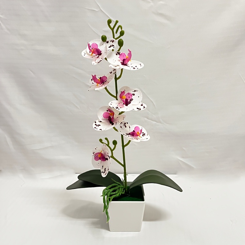 화이트 도트 퍼플 39*23cm