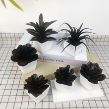 �f�}���Ҿ��b������ֲ�����ԼҾ��k���������b�ɫֲ��[��