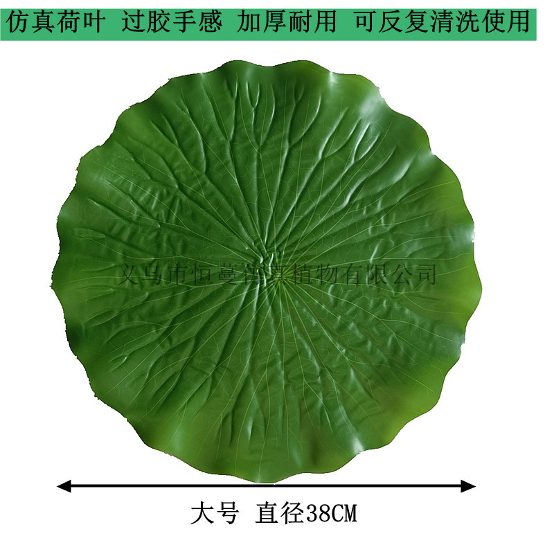 Daun teratai besar
