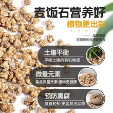 �S���w�����⌣���w������̿�����Gֲ�B��ͨ�����ʯֲ��