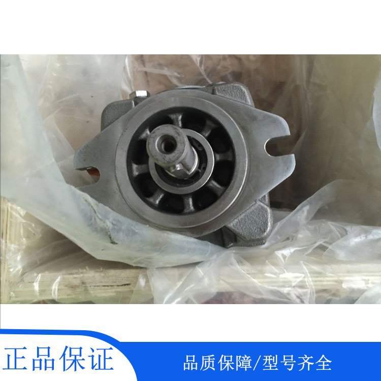 力士乐全新齿轮泵R901147104 PGH4-30/050RE11VU2德国原装