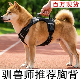 狗狗牵引绳防脱狗狗背心式遛狗绳成犬大中小型犬宠物胸背带牵引绳