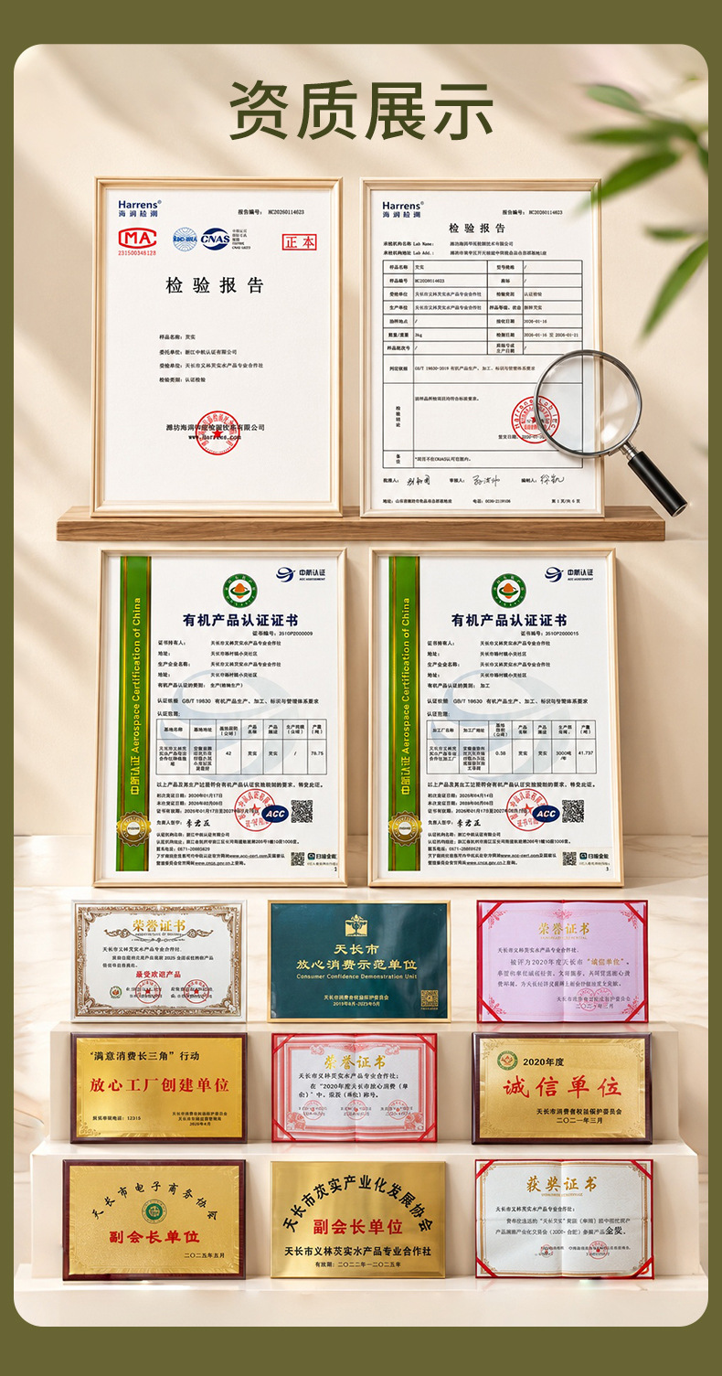 Organic Dried Gorgon Fruit Qian Shi 500g Premium Fresh Season Large Granules Euryale Ferox Seeds preparation