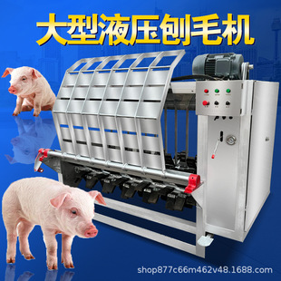 ����ȫ�Ԅ����i��ë�C���iÓë��ë�O����i��ëȥë���i�����O��