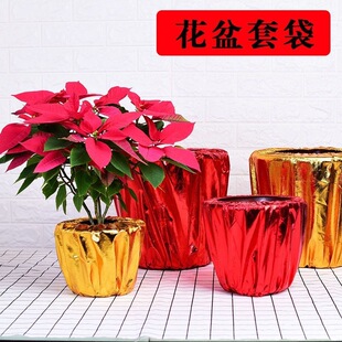 ��ɫ�����״���ی��ý��껨�}�Q�����׾Gֲ�����_�I���ղ���