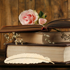 Metal Feather Bookmark Chinese Style Classical Creative Dried Flower Preserved Flower Student Gift Craft Gift Wholesale