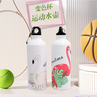 Summer Color Changing Cup Aluminum Cup Sports Kettle High Color Value Aluminum Water Bottle Creative Gift Temperature Changing Riding Kettle