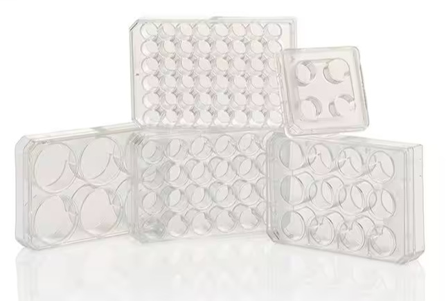 赛默飞NUUNC 176740 4孔细胞培养板 聚苯乙烯 带盖 Nunclon表面