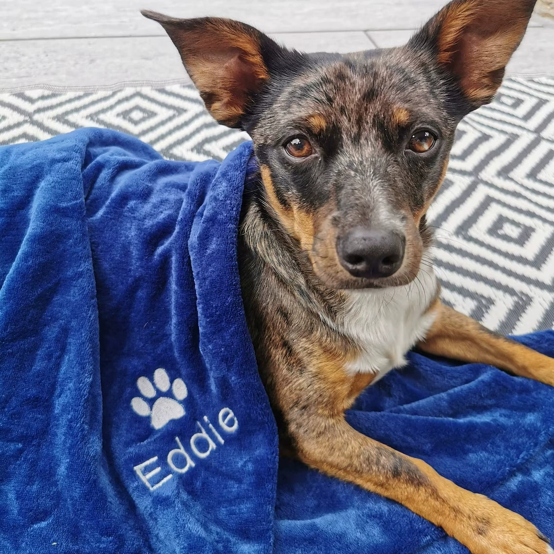 Вышитое одеяло для собак фланелевая овечья шерсть животное одеяло для домашних животных Флис шерпа на заказ