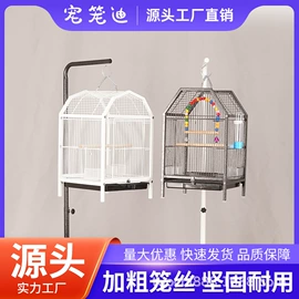 鸟笼;鸟类;其他小宠用品
