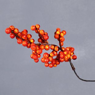 ���滨�t���lؔ���{����ĭ���Ƶ��b͏d�[�O�𼬹���ˇ�����ٻ�