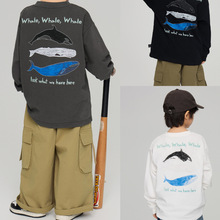 2026�����¿ͯ����L�~ӡ���L���������д�ͯ���ɈA�I��T��