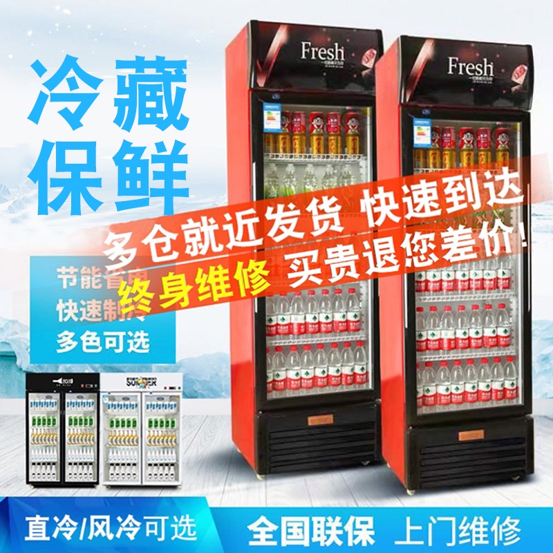 双门冰箱柜单超市冷藏柜饮料柜蔬菜保鲜柜展示柜啤酒冰柜商用立式