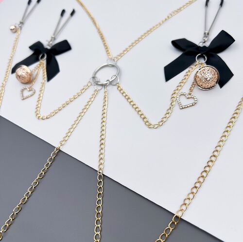 Vagina clamp, bell atmosphere, sexy underwear, nipple clamp, beaded breast ornaments, SM training and punishment, female slave torture tool A079